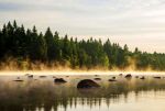 Czeska Kanada. Fot. hsunnyshutterstock.com