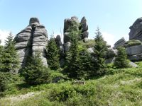 Od lewej: Pyszałek Trójpalczasta i Zulus od NW