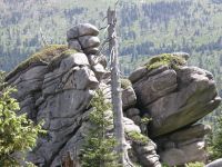 Karkonoszowe Skały od NW spod Wyszogórki