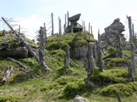 Szolka od NE pod Pustym Siodłem. W głębi Wysoczyniec