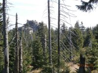 Ptasiniec (niższy) i Wysoczyniec z Piotrówki od zach