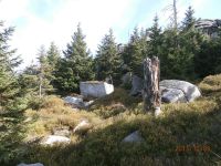 Trybuna po zach stronie Ptasińca