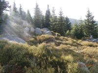 Widok ze Ścieżki nad Reglami na płd. w kierunku Skrytego