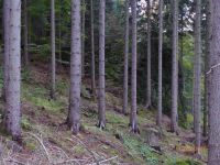 Koralowa Opoka od północy