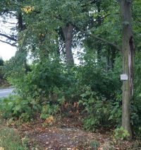 Miejsce po kapliczce – sierpień 2018 r.