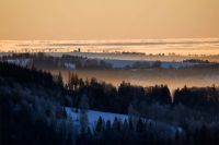 Fot. Petr Horník / novinky.cz