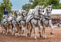 źródło: nhkladruby.cz