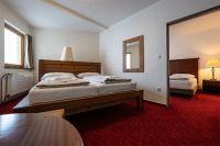 Fot. David Taneček / CTK