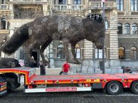 źródło: Diary/Jiří Louda