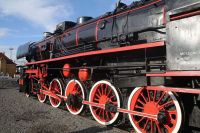 Fot. Wojciech Obremski / www.lca.pl