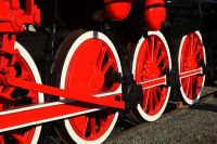 Fot. Wojciech Obremski / www.lca.pl