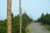 Tyczki na szlakach zimą ułatwiają orientację