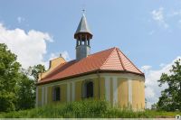 źródło: polska-org.pl